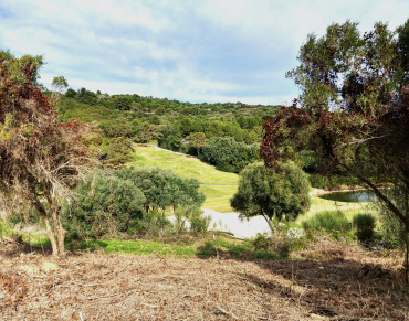 Land for sale in La Reserva, Zona L, Sotogrande - 428-01231P