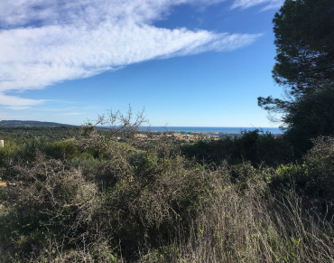 Land for sale in La Reserva Sotogrande - 428-00799P