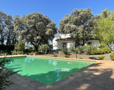 House for sale in Archidona - 428-00485P