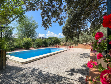 Finca in Antequera — photo 2