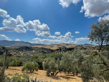 Finca in Antequera — photo 4