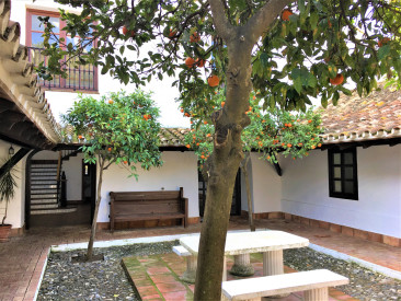 Finca in San Enrique de Guadiaro — photo 4