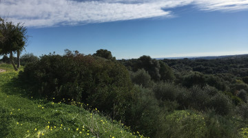 Plot / Land for sale in La Reserva, Zona M €850.000 — photo 4 of 54