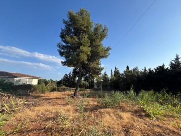 Plot / Land in Marbella — photo 5
