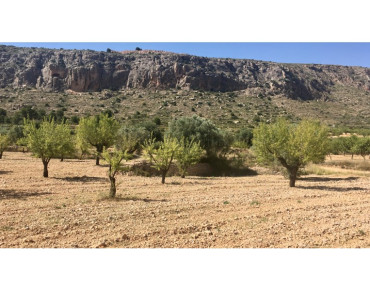 Land for sale in La Romana - 1298