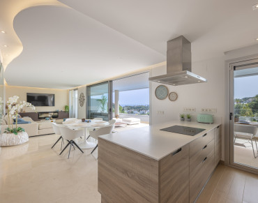 Duplex Penthouse for sale in Botanic - PANR-16097