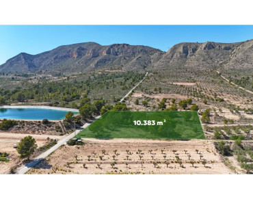 Land for sale in Hondón de las Nieves / El Fondó de les Neus - 1423