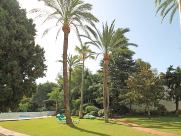 Penthouse in Marbella — photo 2