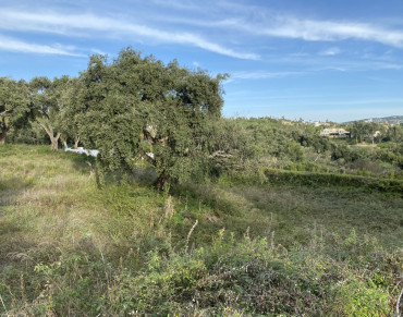Land for sale in San Roque Golf Club, San Roque - b3387