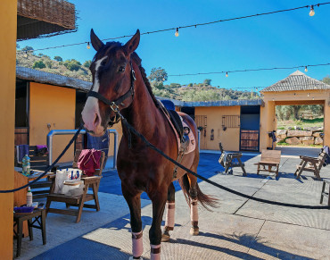 Finca for sale in Coín - BEMV1491