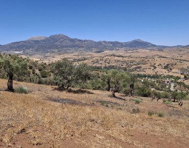 Land for sale in Coín - BEMP091