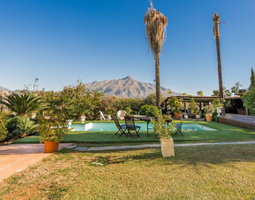 Villa for sale in Nueva Andalucia - LS50175