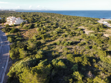House in Felanitx — photo 2