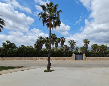 Land for sale in Santa María del Camí - TA8662