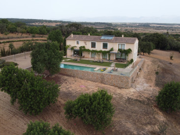 House in Algaida — photo 2