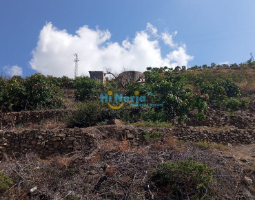 Land for sale in Algarrobo - HI2220