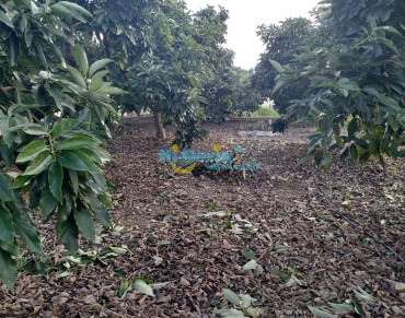 Land for sale in Nerja - HI0885