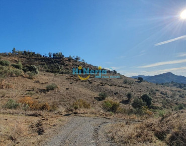 Land for sale in Comares - HI1315