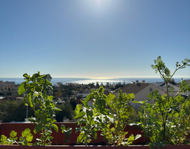 Apartment for sale in Arroyo de la Miel, Benalmadena - DIV00418