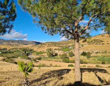 House for sale in Pizarra - R4191214