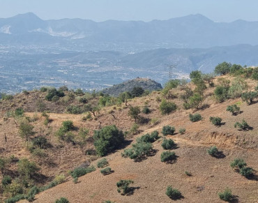 Land for sale in Estacion de Cartama - R4100110