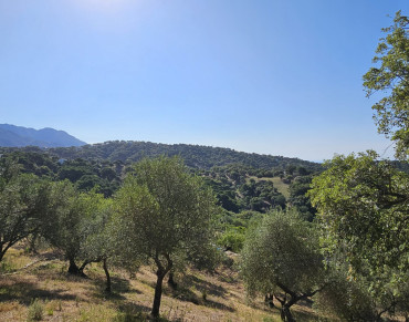 Land for sale in Casares - S4338502