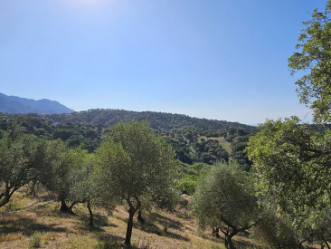 Plot / Land in Casares