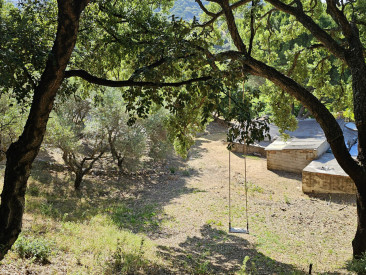 Plot / Land in Casares — photo 4