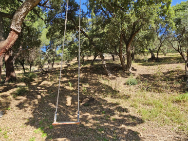 Plot / Land in Casares — photo 5