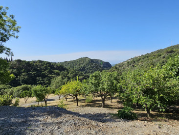 Plot / Land in Casares — photo 6