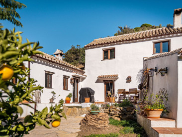 House in Casares — photo 2
