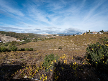 Finca in Manilva — photo 4
