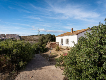 Finca in Manilva — photo 5