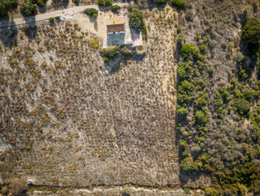 Finca in Manilva — photo 6