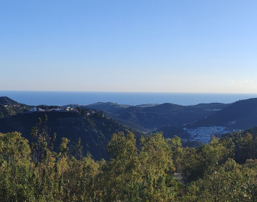 Land for sale in La Zagaleta - R5056408