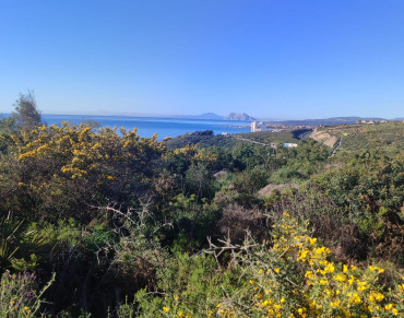 Land for sale in San Diego - R5347120