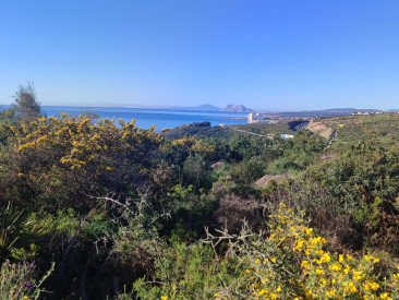 Plot / Land in San Diego