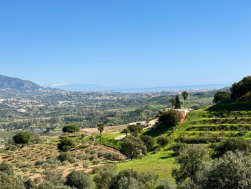 Apartment in La Cala Golf