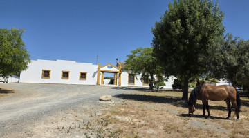 Villa for sale in Sevilla, Andalusia €699.000 — photo 2 of 46