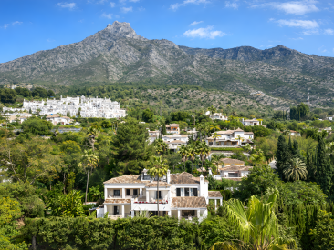Villa in Marbella — photo 2
