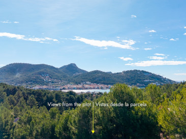 Plot / Land in Andratx — photo 5