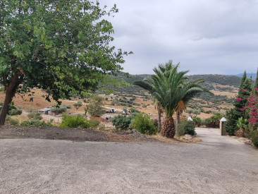 House in Casares — photo 5