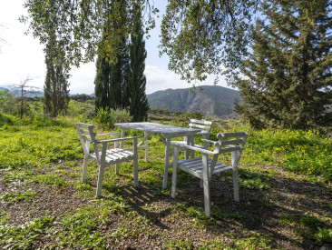 Finca in Coín — photo 4