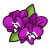 Orchid Realtors