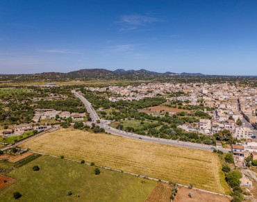 Land for sale in Santanyí - 79329KDT