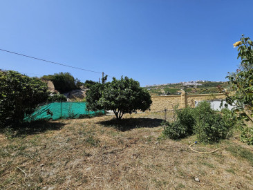 House in Casares — photo 2