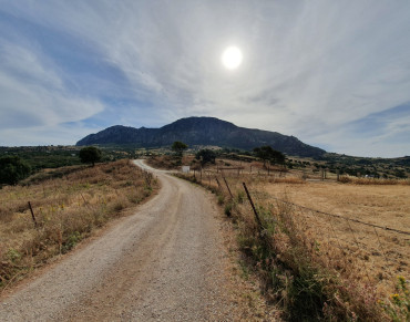 Land for sale in Casares Pueblo - R5286859