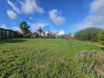 House in Casares