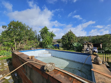 House in Casares — photo 3