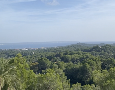 Villa for sale in Son Vida - 31573